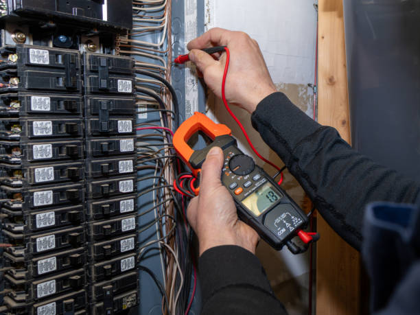 Best Ceiling Fan Installation Electrician  in Romney, WV