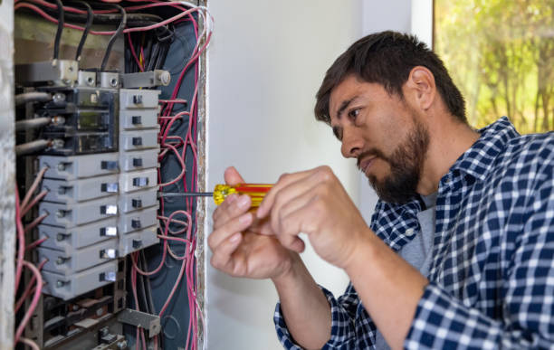 Best Electrician for Home Renovation  in Romney, WV